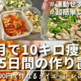 【見なきゃ損!!】節約しながら痩せる。3ヶ月で10キロ痩せた平日5日間のダイエット作り置きレシピ5品｜1500円｜ダイエット中のリアルなヘルシーレシピ｜Weekday diet recipes