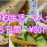 【節約生活】アラ還夫婦2人分✖️５日間#アラ還 #ダイエット中の食事 #なんちゃって料理 #野菜たっぷり #ずぼら飯 #家庭菜園#時短レシピ #節約レシピ #簡単レシピ #自給自足