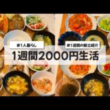 【料理Vlog】【1週間2000円生活】〜1人暮らしOLの30分で作る1週間の自炊記録〜 海老餃子/フライ/鯖の南蛮漬け/ハヤシライス/あんかけ焼きそば/ひき肉とトマトのチーズ焼き