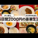 【料理Vlog】【5日間2000円の豪華生活】〜1人暮らしOLの30分で作る5日間の自炊記録〜 ネギ焼き/焼き鯖の炊き込みご飯/カレー/煮込みハンバーグ/にんじんのポタージュ