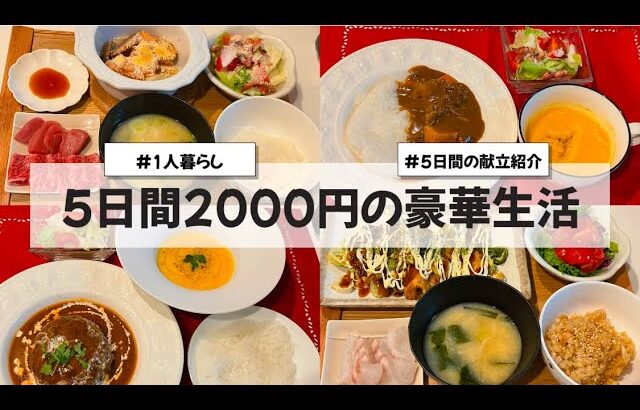 【料理Vlog】【5日間2000円の豪華生活】〜1人暮らしOLの30分で作る5日間の自炊記録〜 ネギ焼き/焼き鯖の炊き込みご飯/カレー/煮込みハンバーグ/にんじんのポタージュ