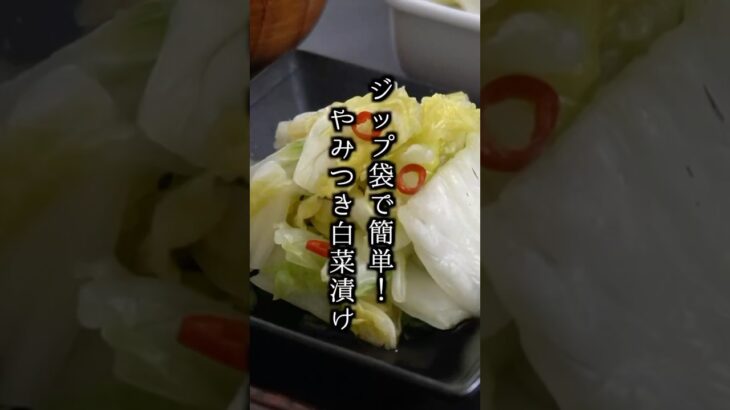 やみつき白菜漬けの作り方｜ジップ袋で超簡単！#白菜  #節約レシピ #大量消費 #料理研究家ゆかり #shorts