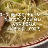 【完成度の高い喜多方ラーメン】#720 スッキリ美味しい！塩とんこつらーめんが上品な美味しさ。大量のネギもピッタリです！(田中そば店 武蔵境店)