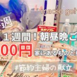 1週間約2000円で朝昼夜ご飯を過ごせ！簡単美味しい節約献立【主婦料理vlog】 vol.59