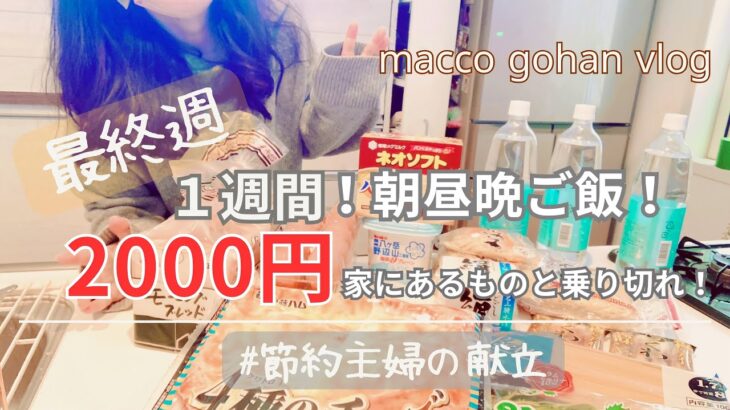 1週間約2000円で朝昼夜ご飯を過ごせ！簡単美味しい節約献立【主婦料理vlog】 vol.59