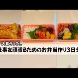 【一人暮らしOL/料理Vlog】仕事を頑張るためのお弁当作り3日分 天ぷらうどん弁当/鯖の味噌煮弁当/余り物弁当