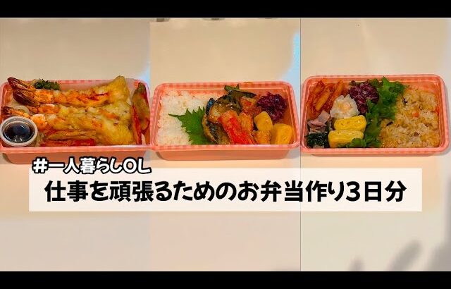 【一人暮らしOL/料理Vlog】仕事を頑張るためのお弁当作り3日分 天ぷらうどん弁当/鯖の味噌煮弁当/余り物弁当