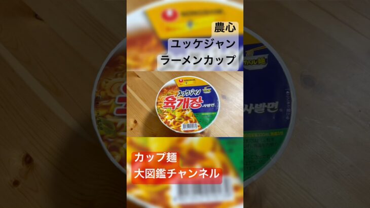 辛さ7割、牛3粒！🔥韓国の辛さを完全再現！農心「ユッケジャンラーメン」カップを徹底レビュー！40年愛されるロングセラーの味とは？ #ユッケジャンラーメン #農心ラーメン #韓国ラーメン