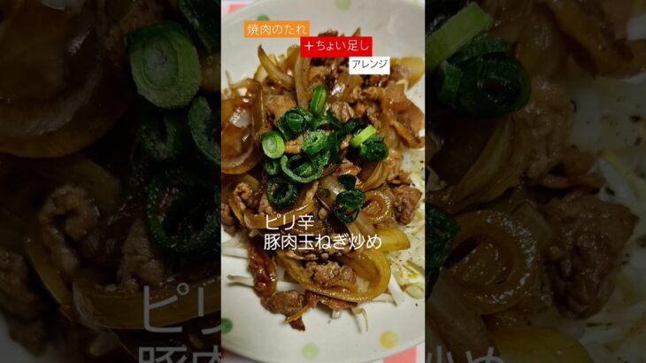 節約料理でもちょい足しでうまさUP！「ピリ辛豚肉玉ねぎ炒め」