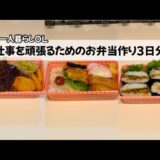 【一人暮らしOL/料理Vlog】仕事を頑張るためのお弁当作り3日分