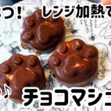 材料3つ！レンジ加熱で簡単チョコマシュマロ//サクサク♪