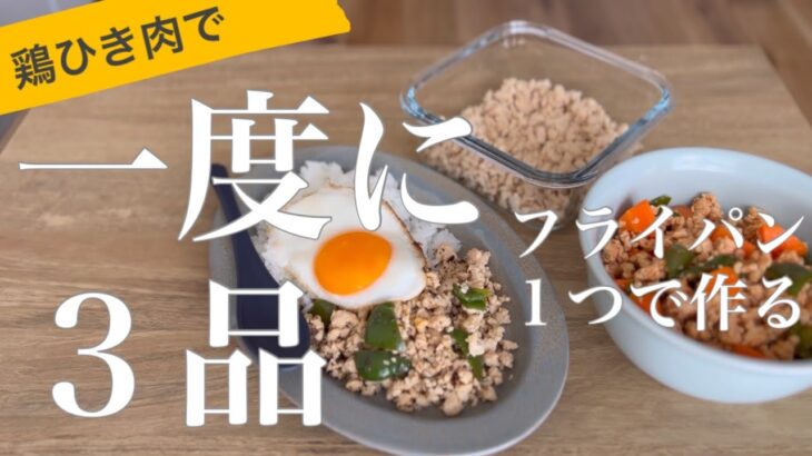 【一人暮らしの作り置き】鶏そぼろ・ガパオ・酢鶏を一度に作る。節約＋時短【調味料時差式ワンパン料理】