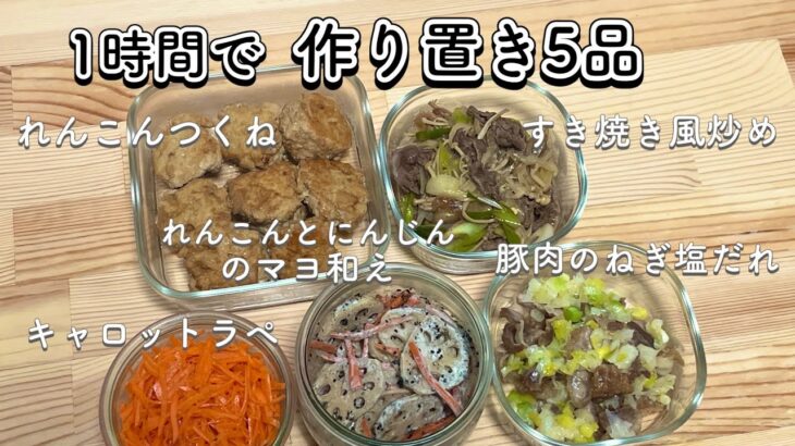 【1時間完成】1口IHで作る👩🏻‍🍳大学生の作り置き5品🥕/一人暮らし大学生/栄養学生/料理/自炊