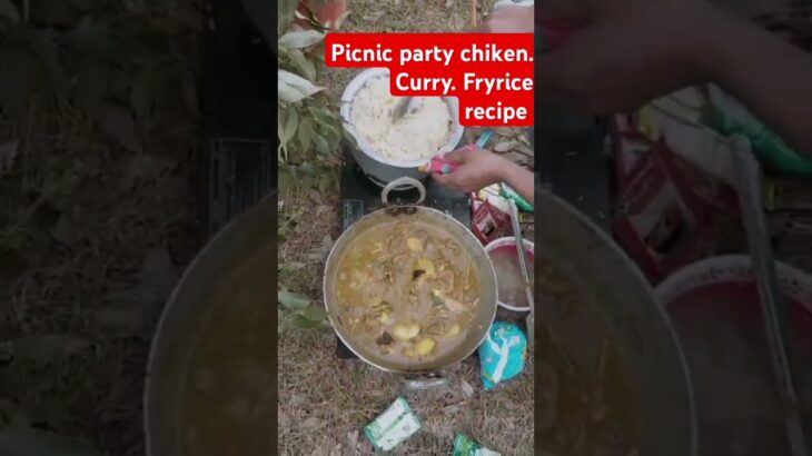 Chiken curry fry rice banaya hu picnic party me #food #ricerecipe #chiken