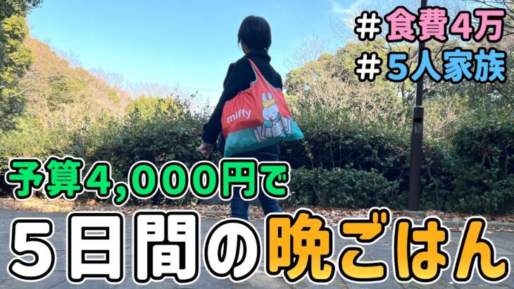 【食費の節約】節約主婦が予算４,０００円で「平日５日間の晩ごはん作り」に挑戦した結果｜節約レシピ/料理/食費月４万円/５人家族