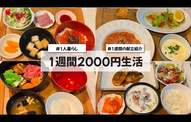 【料理Vlog】【1週間2000円生活】〜1人暮らしOLの30分で作る1週間の自炊記録〜