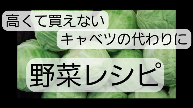 【高すぎるキャベツ…買える食材で作る簡単&節約レシピ】