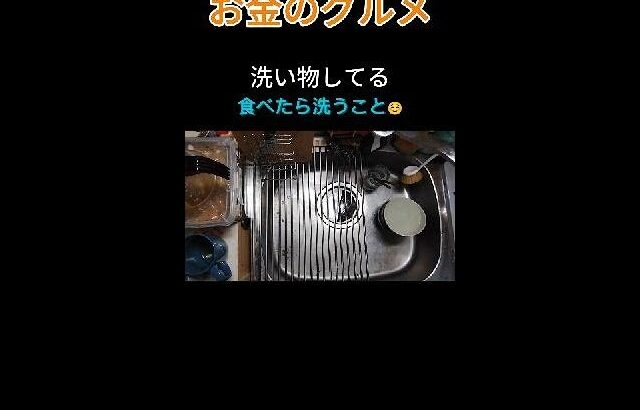 洗い物してる｜ ひんじゃ＠猫とグルメ #自炊 #節約 #料理 #レシピ