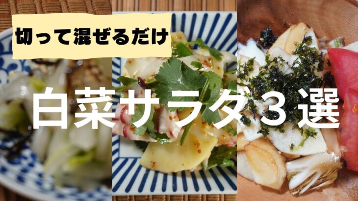 【簡単白菜レシピ】材料を切って和えるだけ時間のないあなたに｜火を使わない簡単白菜レシピ３選