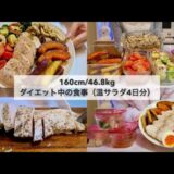 【4日間温サラダダイエット🔥】-14kg達成!🔥ダイエット中のリアル4日間の食事🍱｜ワンプレートサラダ4日分🥗｜Healthy Salad Recipes For Weight Loss【ダイエット】