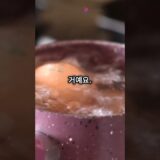 1분만에 완성하는 맛있는 라면 비법! 1분 요리 레시피 채널 QQ