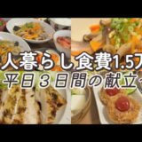 【2人暮らし食費1.5万】平日３日間の献立|節約|レシピ|物価高対策