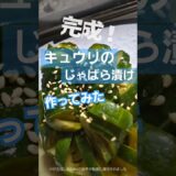 【普通の男子の日常】【料理】一人暮らしの男子が簡単きゅうりのじゃばら漬け作ってみた #料理 #料理男子 #簡単レシピ #short #shorts #shortsvideo #shortvideo