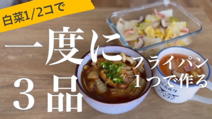 【一人暮らしの作り置き】白菜の炒め煮・ミネストローネ風・カレーうどんを一度に作るレシピ。節約＋時短【調味料時差式ワンパン料理】