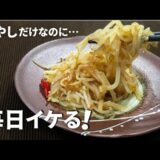 【もやしでお得レシピ！シャキシャキ食感の節約レシピ】ちょいピリ辛でご飯のお供にもお酒のおつまみにもお勧めです。