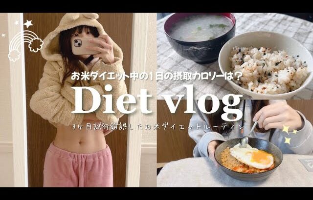 【お米ダイエット中の1日のカロリーは？】お米をしっかり食べて-16kg維持する1日の食事🍽️ダイエットvlog/what I eat in a day✨Eng sub :)