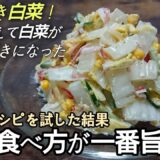 後悔させません！あの有名コールスローに負けない旨さ【白菜コールスローサラダ】お家にある調味料で簡単に作れます☆