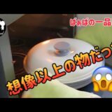〈電子レンジ調理器〉ヘルシー／簡単／調理が早い／忙しい時に便利