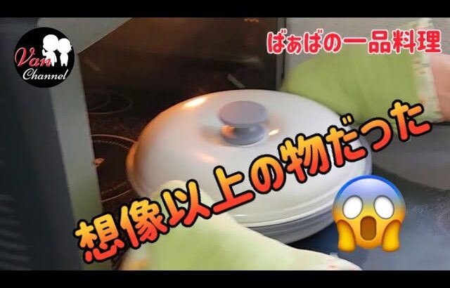 〈電子レンジ調理器〉ヘルシー／簡単／調理が早い／忙しい時に便利