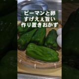 500万回再生！ピーマンと卵のすげぇ旨い！簡単作り置きおかず 常備菜 副菜 主菜 人気レシピ