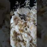 🍳🍚 #recipe #food #music #レシピ #食べ物 #音楽 #cooking #egg #rice #receta #comida #musica #ご飯 #卵 #cooking