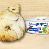 【新玉ねぎのレシピ】ツナ缶と和えるだけ！簡単和風サラダの作り方　箸が止まらないお手軽おかずレシピ　時短レシピ　節約レシピ　春レシピ
