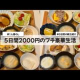 【料理Vlog】【5日間2000円生活】〜1人暮らしOLの30分で作る5日間の自炊記録〜