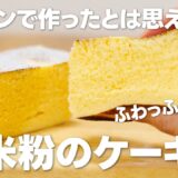 電子レンジで米粉ケーキのレシピ / まりなの簡単お菓子作り