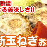 #29 【絶品レシピ】ごはんが進む！今が旬のあま〜い新玉ねぎで心も体も喜ぶおかず♡