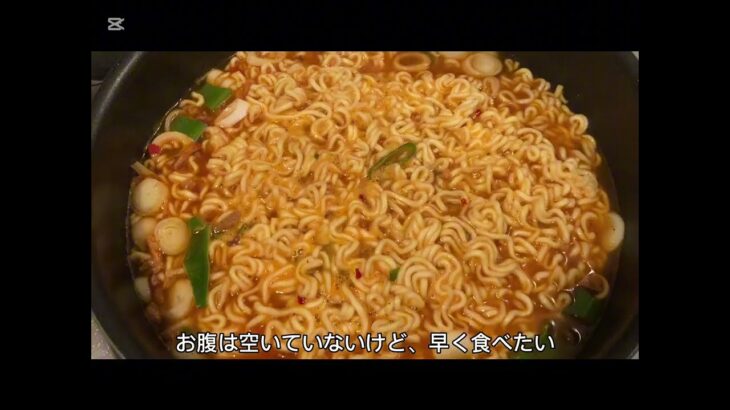 食べ過ぎやめたい【食事記録】