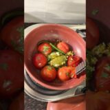 Aisa Swad Kabhi Nahi Chakhha! Mitti Ke Bartan Mein Bani Desi Tomato Chutney 🍅🔥 #shorts #viralrecipes