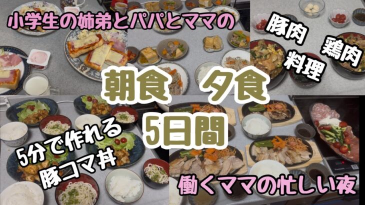 【朝ごはん】と【夜ごはん】忙しい日は市販で簡単晩ごはん　早い5分で作れる豚コマ丼　節約サムギョプサル　ガッツリボリューム