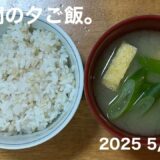 (節約•健康)連休ボケ🥱地味な夕ご飯とほうれん草レシピ紹介