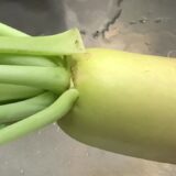 大根の葉の簡単節約レシピ！夕飯のおかずに最適♪