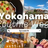 【35歳、束の間の一人暮らし！自炊力UP! 健康ルーティーン】Brief solo living at 35! A routine: improving cooking for my health
