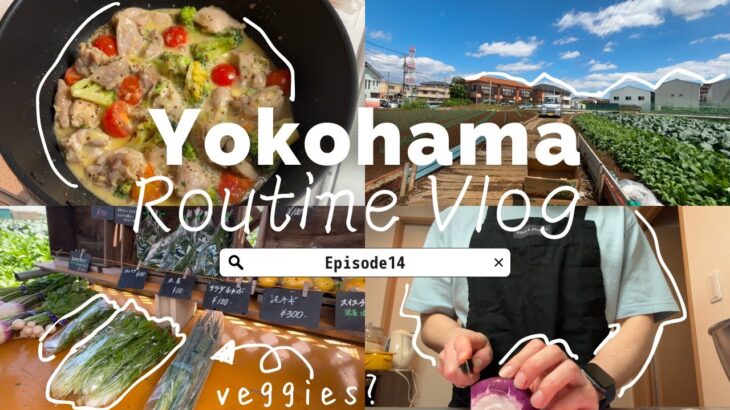 【35歳、束の間の一人暮らし！自炊力UP! 健康ルーティーン】Brief solo living at 35! A routine: improving cooking for my health