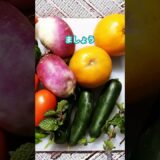 🍗美味しく食べて痩せる⁉️ダイエット飯の新常識🍳🥗