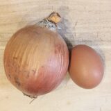 【玉ねぎと卵の簡単レシピ】レンジでチンして出来上がり！チーズがとろりな簡単おかずの作り方　箸が止まらない絶品レシピ　時短レシピ　節約レシピ