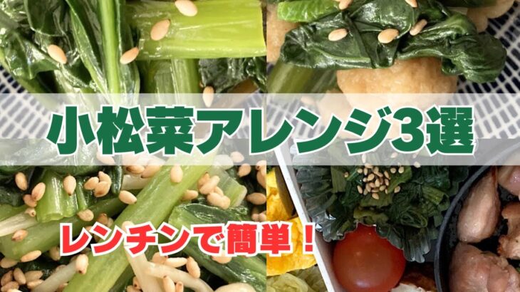 【冷凍作り置き】お弁当の副菜に。小松菜おかず3選！簡単アレンジでマンネリ解消。緑色で彩りプラス
