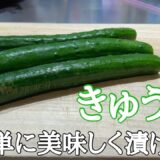 ずぼらな一人暮らし男性必見のお新香と新緑キャンプ。料理出来なくても作れます。